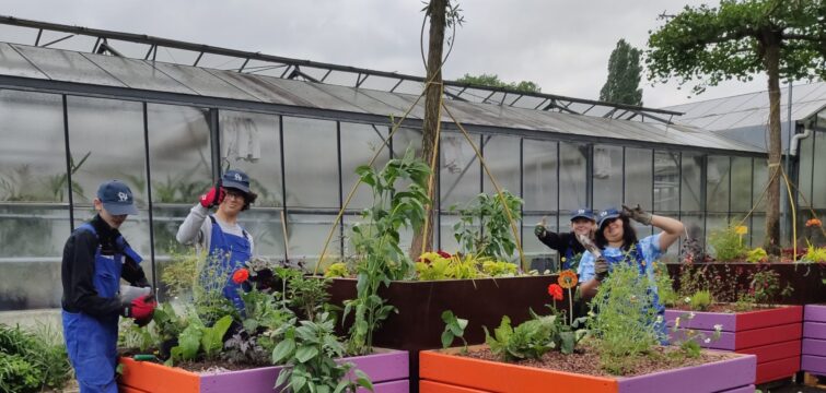 Les jeunes de l’EMP participent au projet de jardin éphémère installé sur la place Jeanne-Hachette de Beauvais